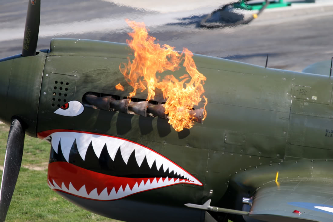 Airplane Shark Mouth 106